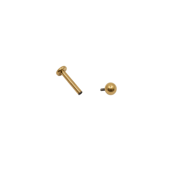 Yellow Gold Studs Internally Threaded Flat Back Barbell With Ball Top The Curated Lobebarbellcartilagecartilage barbell