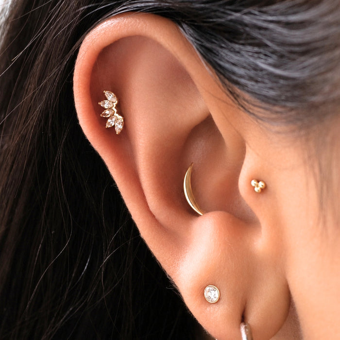 Crystal Fan Earring