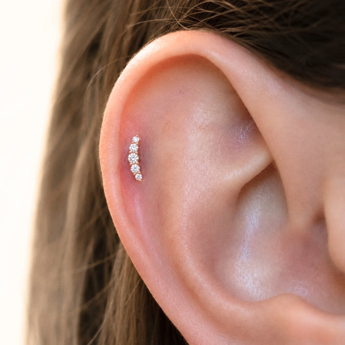 Small Curved Crystal Earring