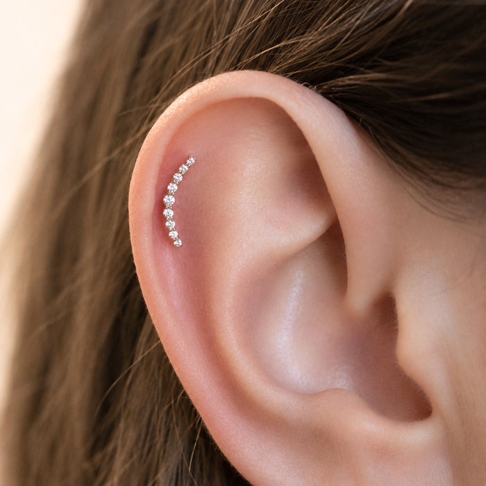 Curved Crystal Earring