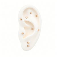 Tiny Disc Earring