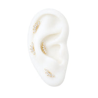 Long Crystal Fan Earring