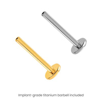 Yellow Gold Studs Crimson Fang Earring The Curated Lobe14k gold14k gold topcartilage