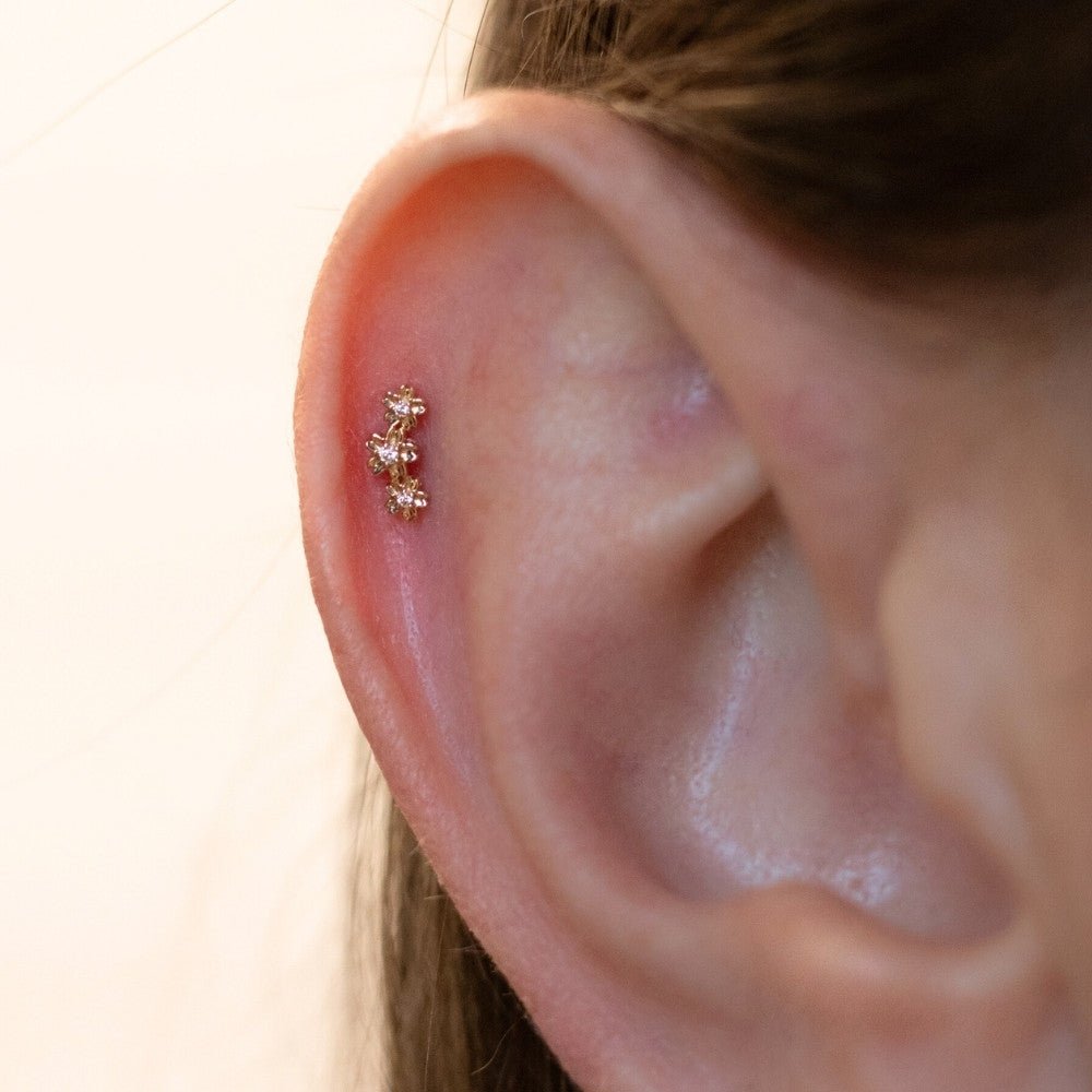 Shop Conch Piercing Jewelry | The Curated Lobe