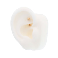 Yellow Gold Bars & Barbells Curved Internally Threaded Barbell The Curated Lobe14k goldcartilagecurved