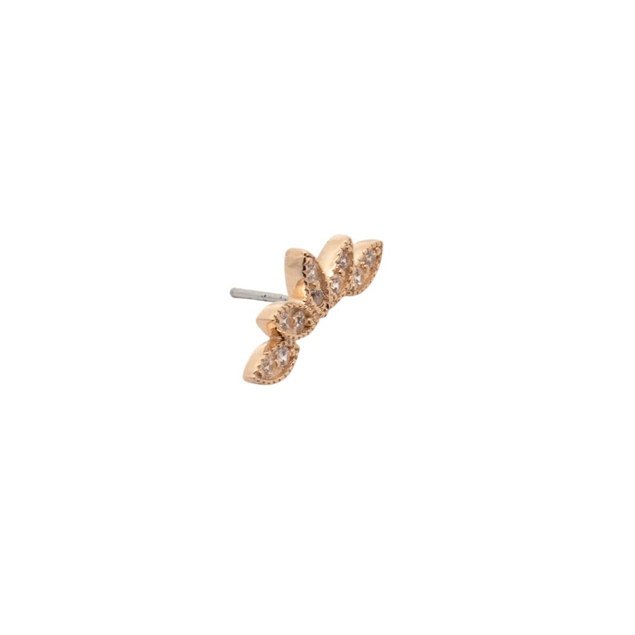 Yellow Gold Studs Curved Petal Earring The Curated Lobe14k gold14k gold topcartilage