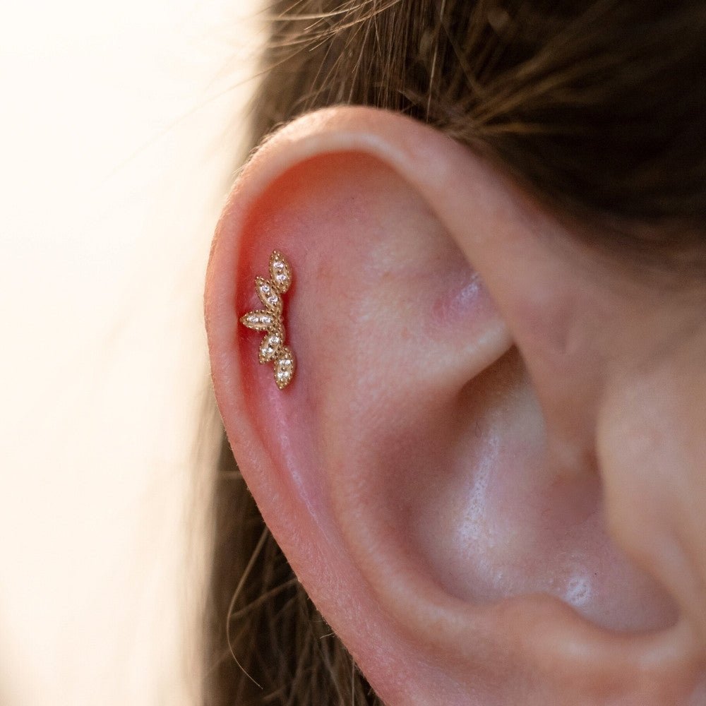 Yellow Gold Studs Curved Petal Earring The Curated Lobe14k gold14k gold topcartilage