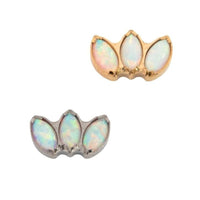 Yellow Gold Threadless Tops Opal Fan Earring Top The Curated Lobecartilageconchflat