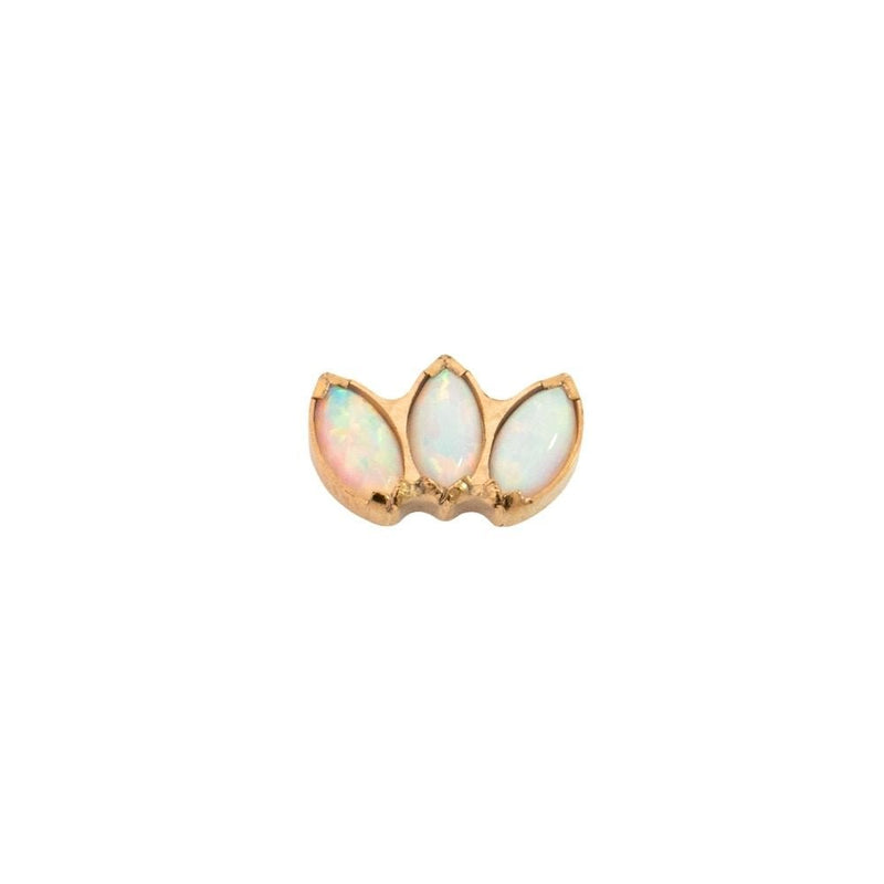 Yellow Gold Threadless Tops Opal Fan Earring Top The Curated Lobecartilageconchflat