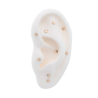 Yellow Gold Studs Tiny Disc Earring The Curated Lobe14k gold14k gold topcartilage