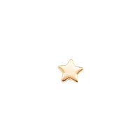 Yellow Gold Studs Tiny Star Earring The Curated Lobe14k gold14k gold topcartilage