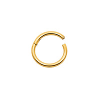 16 Gauge Plain Titanium Clicker Hoop