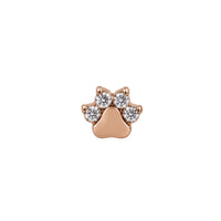 Animal Paw Earring Top