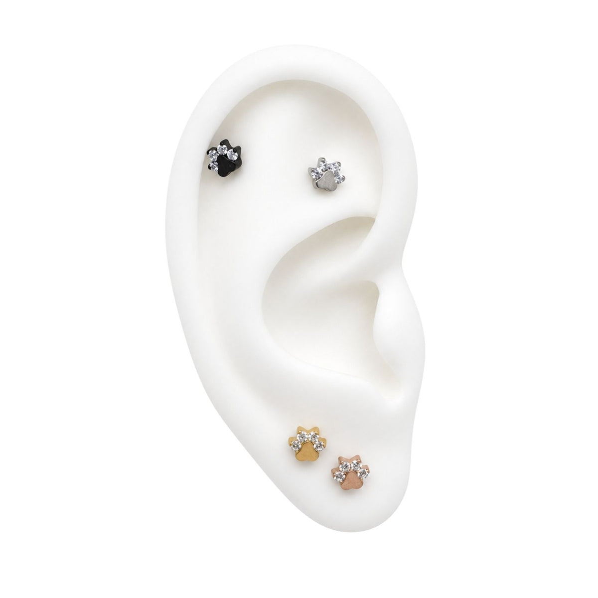 Animal Paw Earring Top