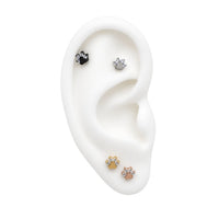 Animal Paw Earring Top