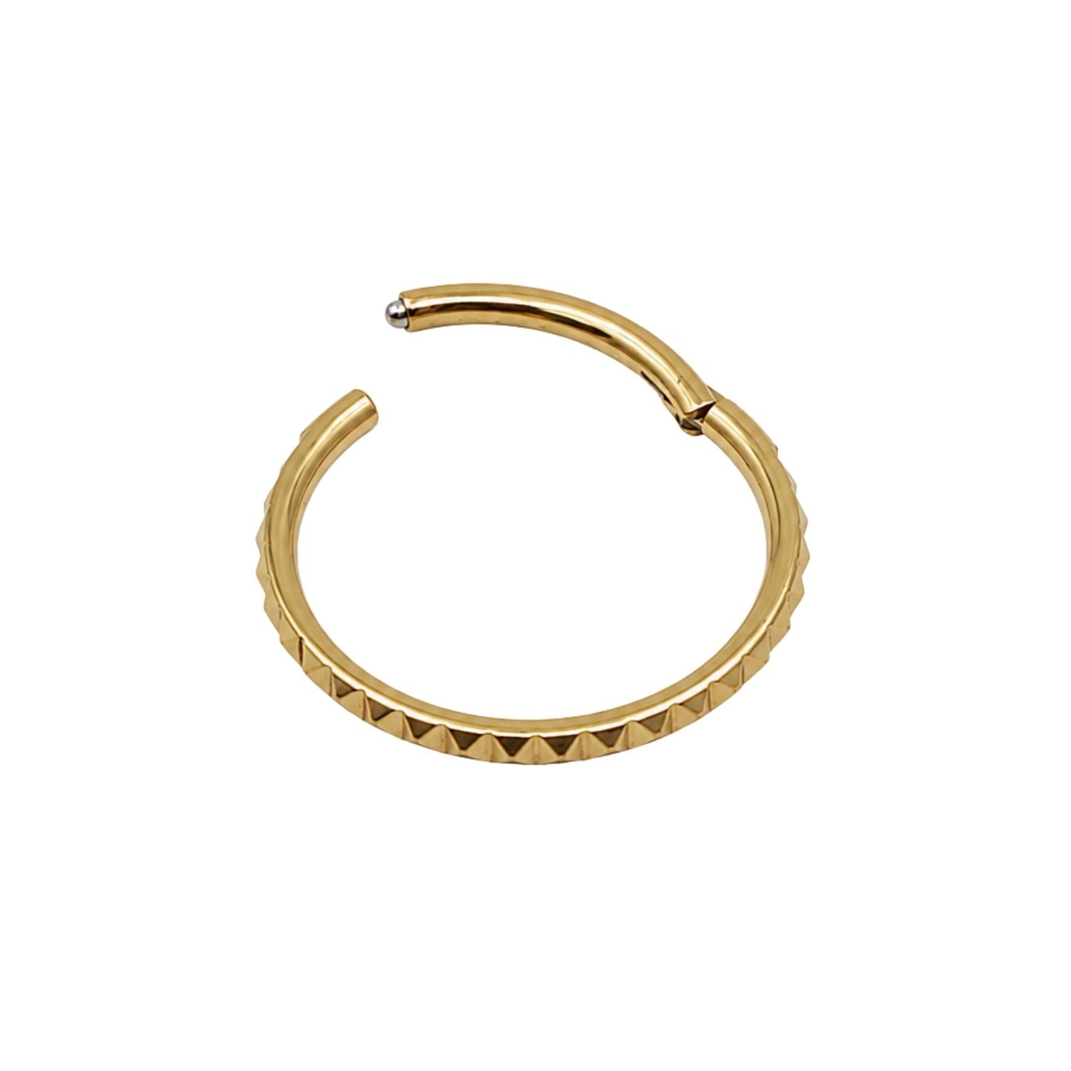 Peaked Conch Clicker Hoop – The Curated Lobe