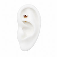 Threadless Curved Flat Back Barbell