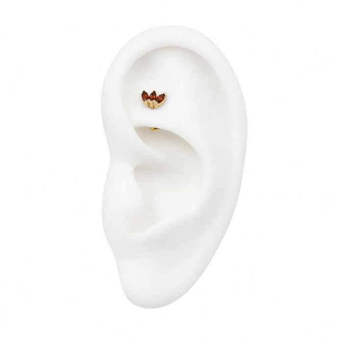 Threadless Curved Flat Back Barbell