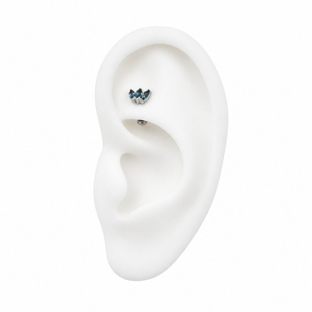 Threadless Curved Flat Back Barbell