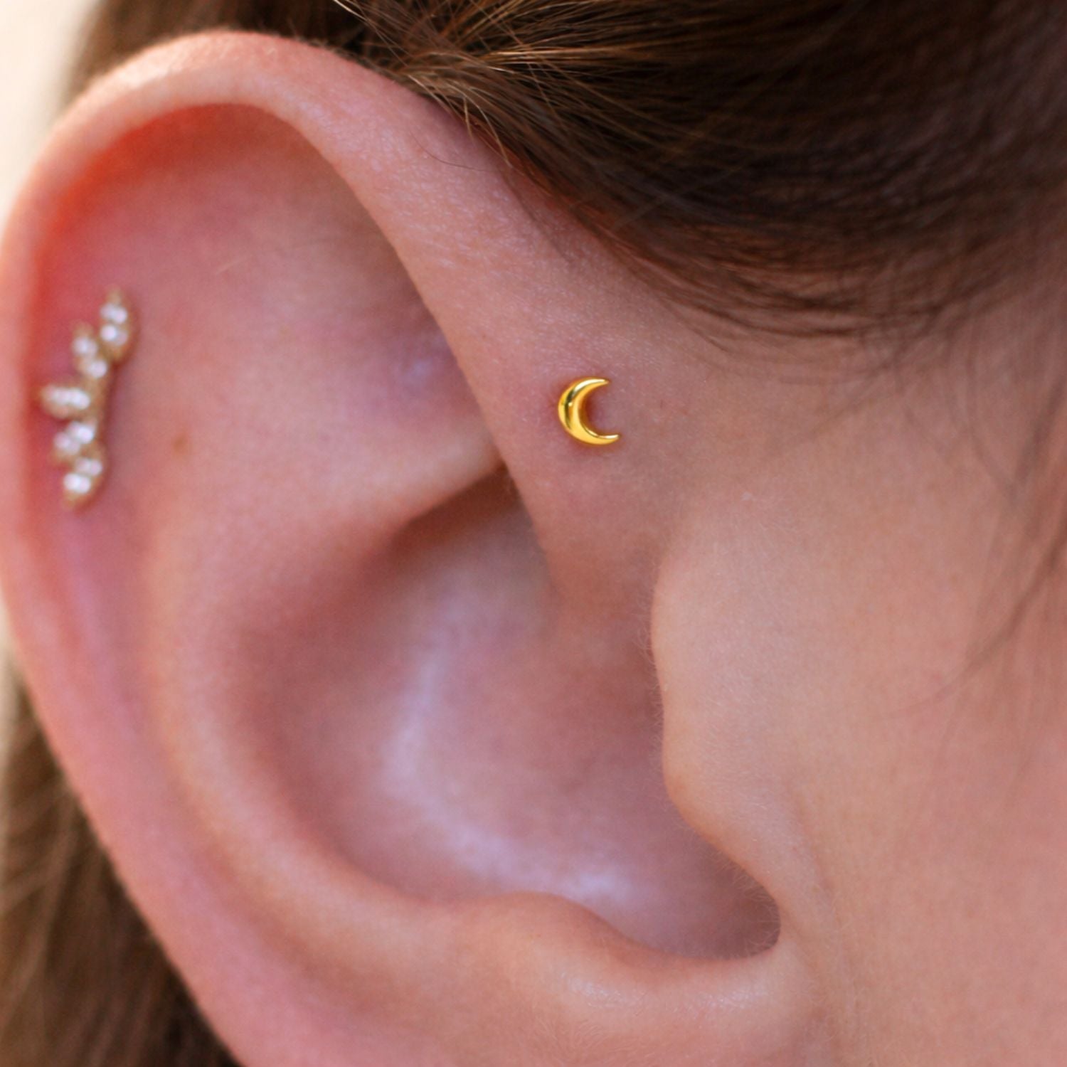 Shop Conch Piercing Jewelry | The Curated Lobe