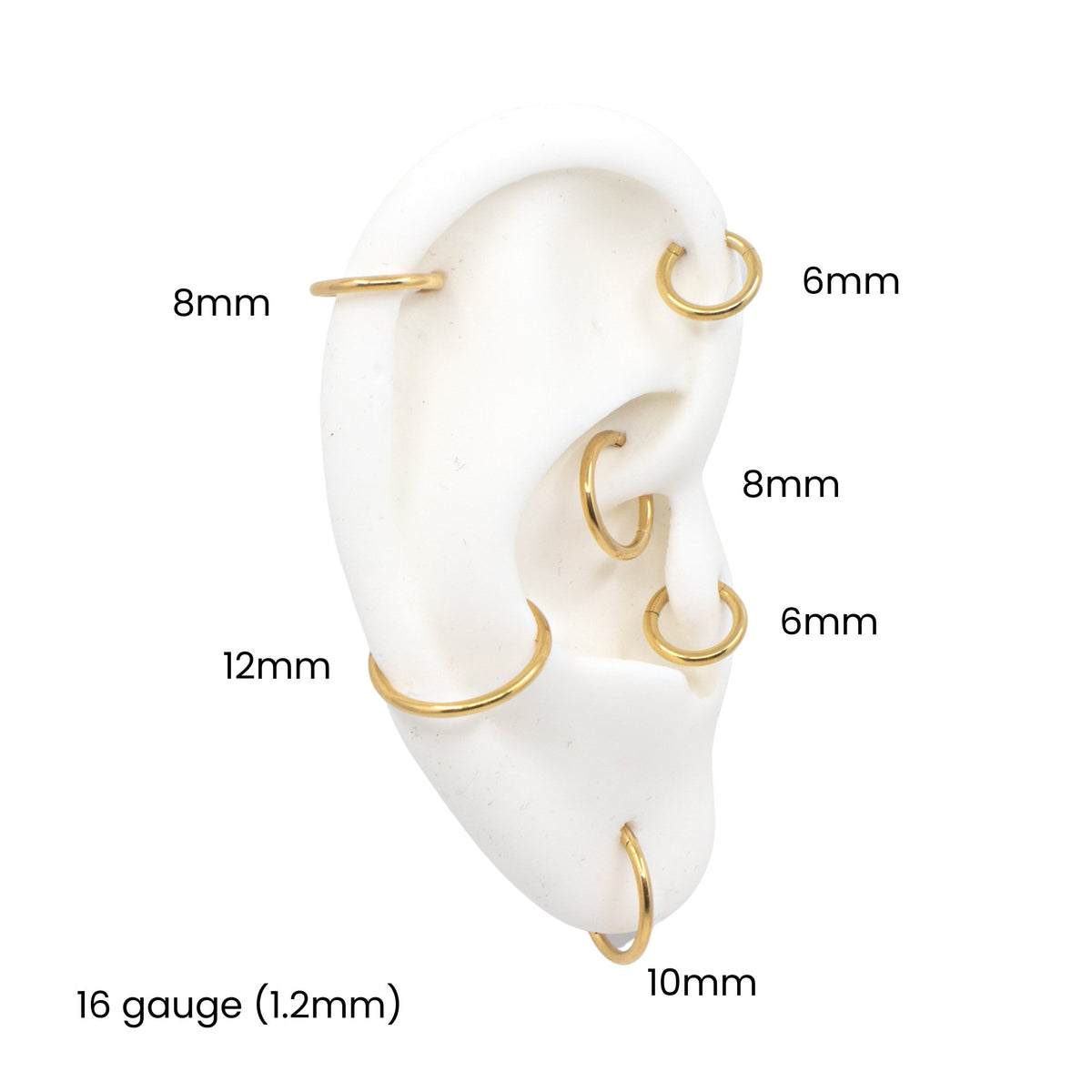 Yellow Gold Hoops 16 Gauge Plain Clicker Hoop The Curated Lobe