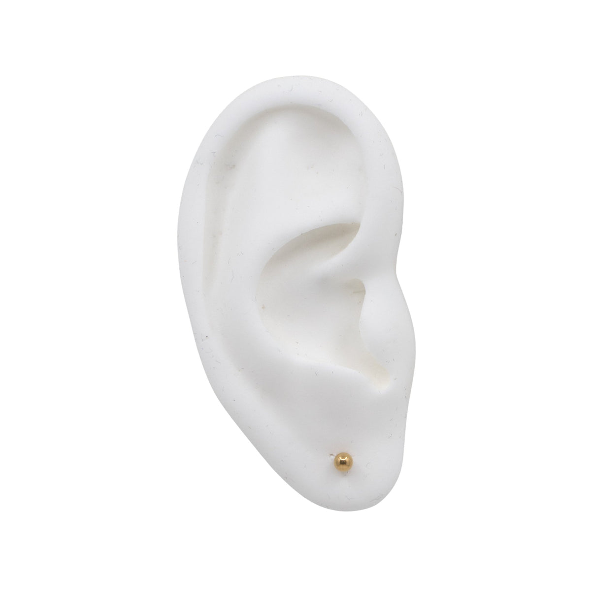 Yellow Gold Bars & Barbells Internally Threaded Barbell The Curated Lobe