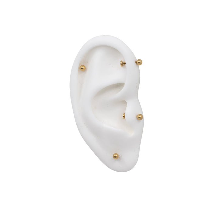 Yellow Gold Studs Internally Threaded Flat Back Barbell With Ball Top The Curated Lobe