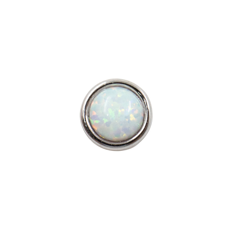 Silver Studs Opal Stud Earrings The Curated LobeBirthstone Stud Earringscartilagegold vermeil