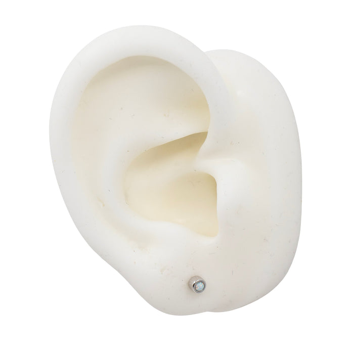 Silver Studs Opal Stud Earrings The Curated LobeBirthstone Stud Earringscartilagegold vermeil