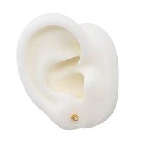 Yellow Gold Studs Opal Stud Earrings The Curated LobeBirthstone Stud Earringscartilagegold vermeil