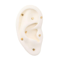 Yellow Gold Studs Tiny Heart Earring The Curated Lobe14k gold14k gold topcartilage