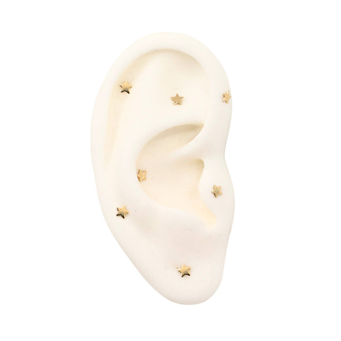 Yellow Gold Studs Tiny Star Earring The Curated Lobe14k gold14k gold topcartilage